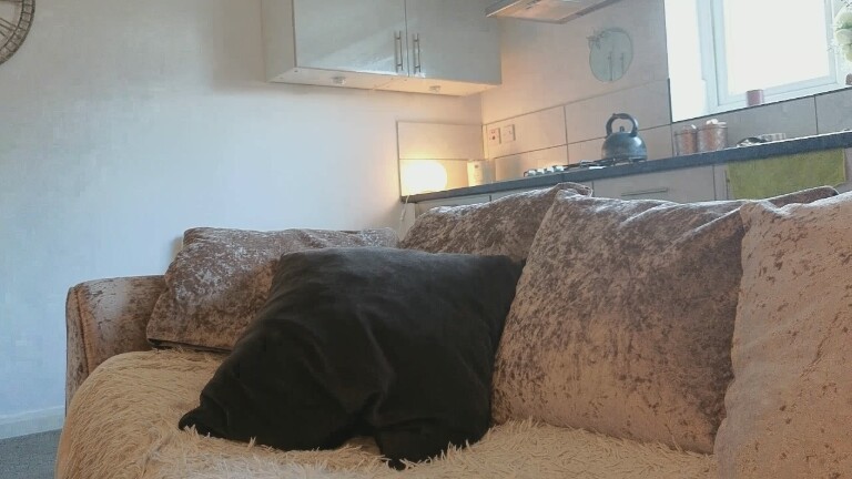 OrgasmicOnyx's Streamate show and profile