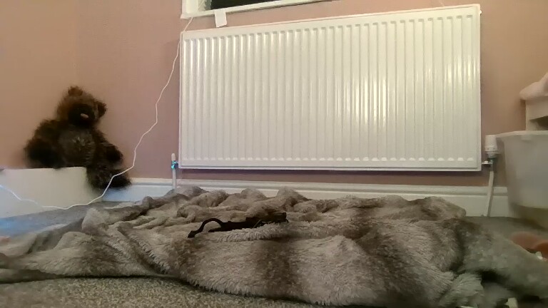 xodanixo's Streamate show and profile